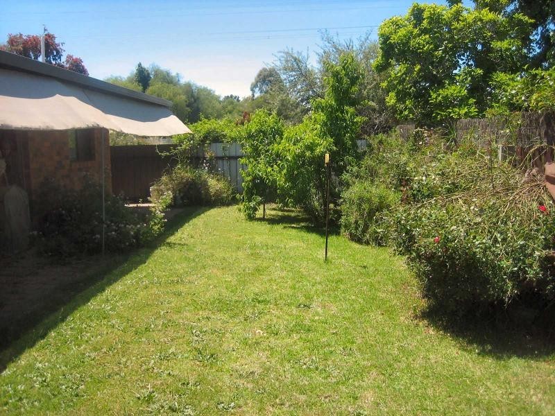 29 Cobram Street, Berrigan NSW 2712
