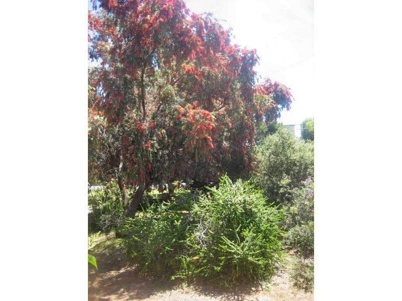 29 Cobram Street, Berrigan NSW 2712