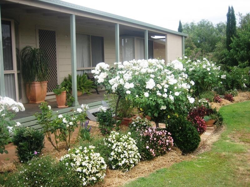 7 Drummond Street, Berrigan NSW 2712