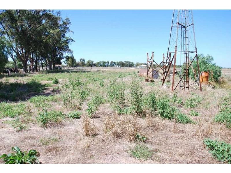 22 Williams Street, Bearii VIC 3641