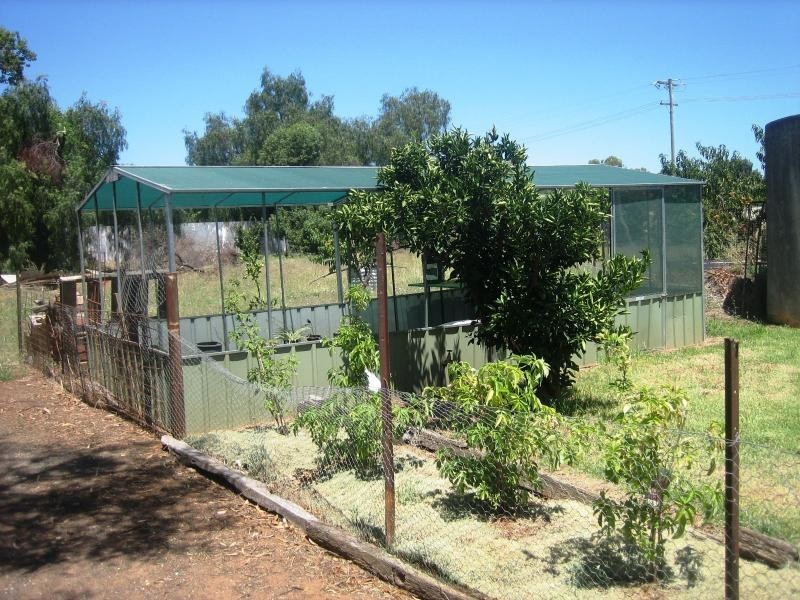 41 Thornber Street, Oaklands NSW 2646
