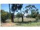 41 Thornber Street, Oaklands NSW 2646