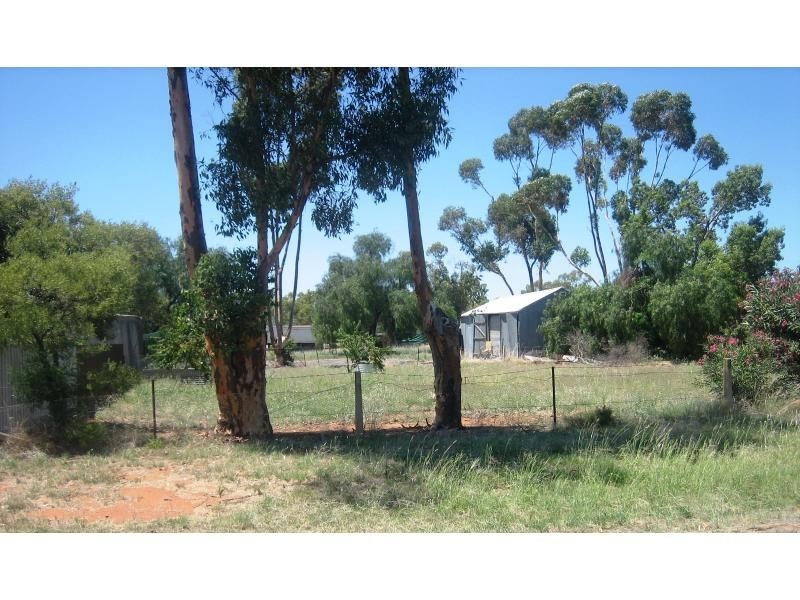 41 Thornber Street, Oaklands NSW 2646