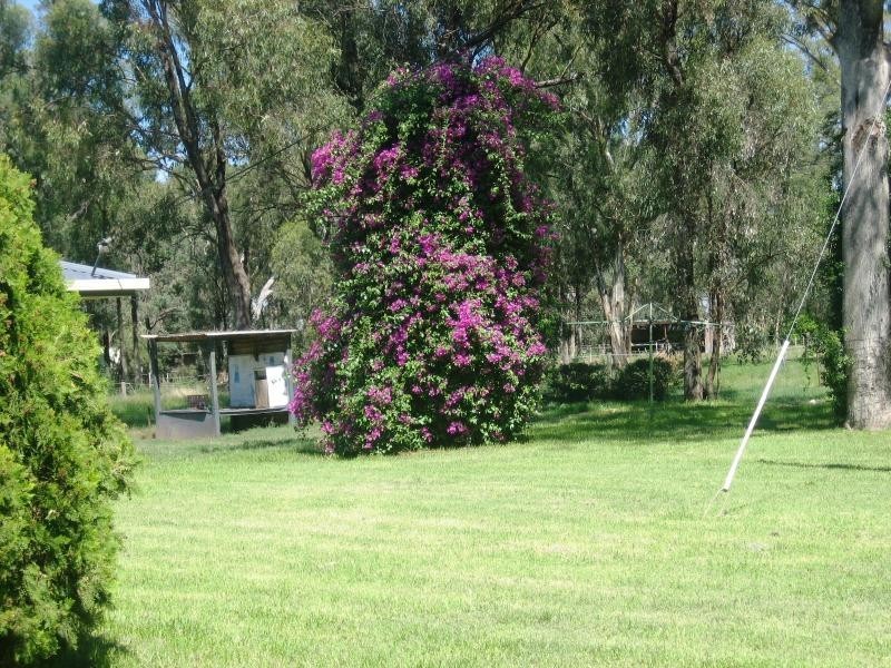 Lot 72 Cobram Street, Berrigan NSW 2712