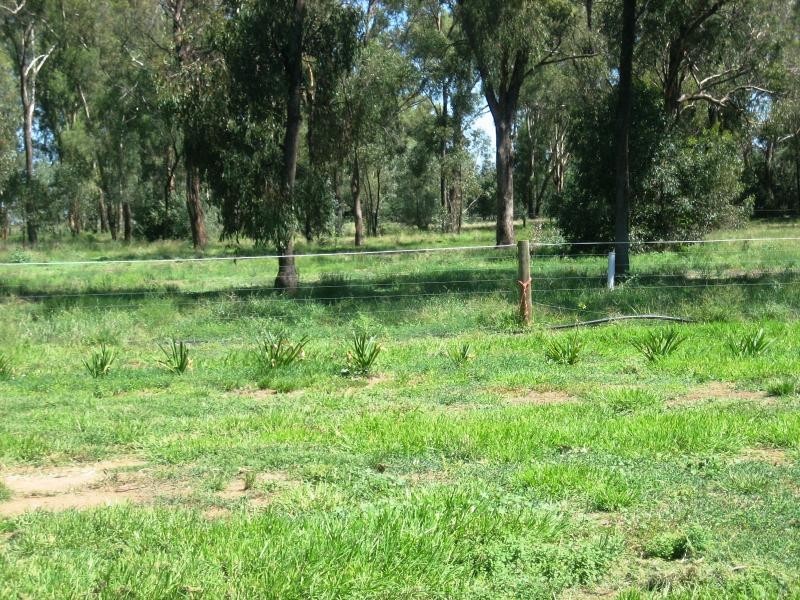 Lot 72 Cobram Street, Berrigan NSW 2712