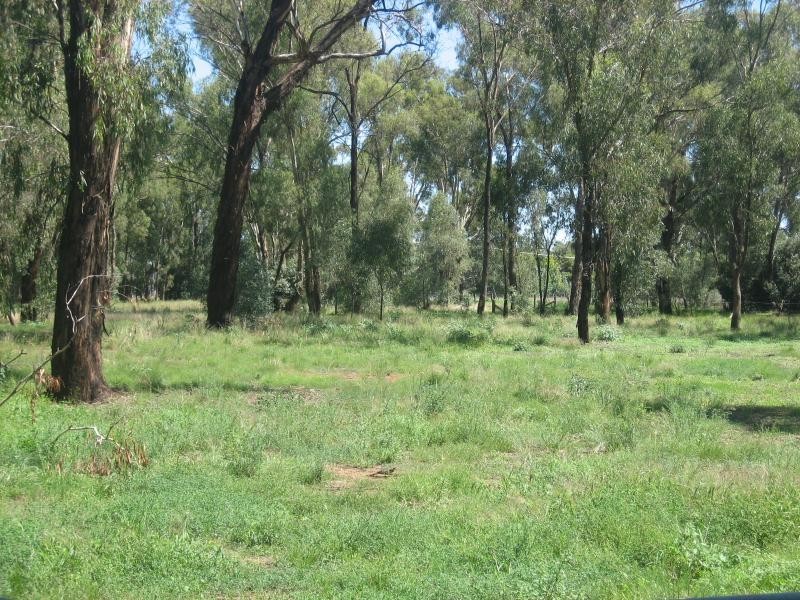 Lot 72 Cobram Street, Berrigan NSW 2712