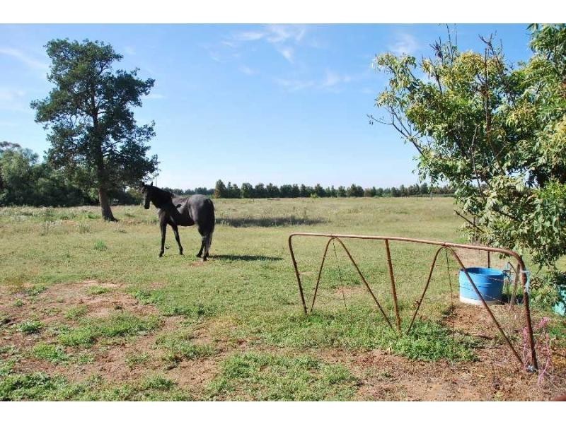 13 Langan Road, Cobram East VIC 3644