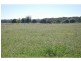 Lot B, 2472 Murray Valley Highway, Cobram East VIC 3644