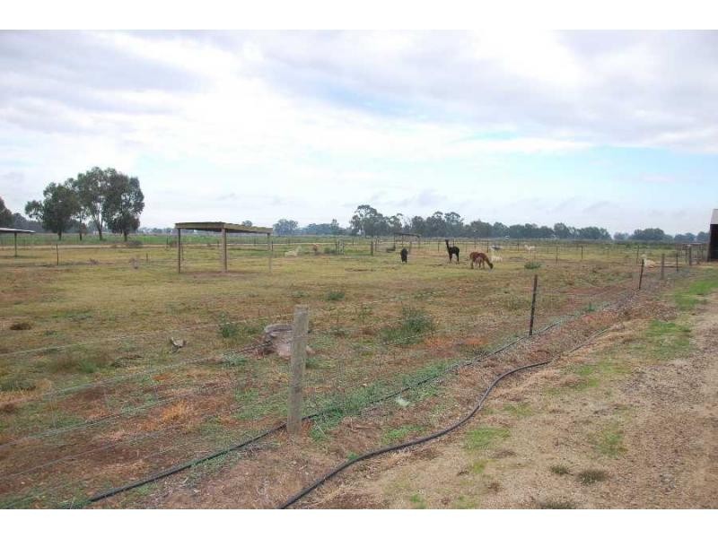 404 Shinnicks Road, Katunga VIC 3640