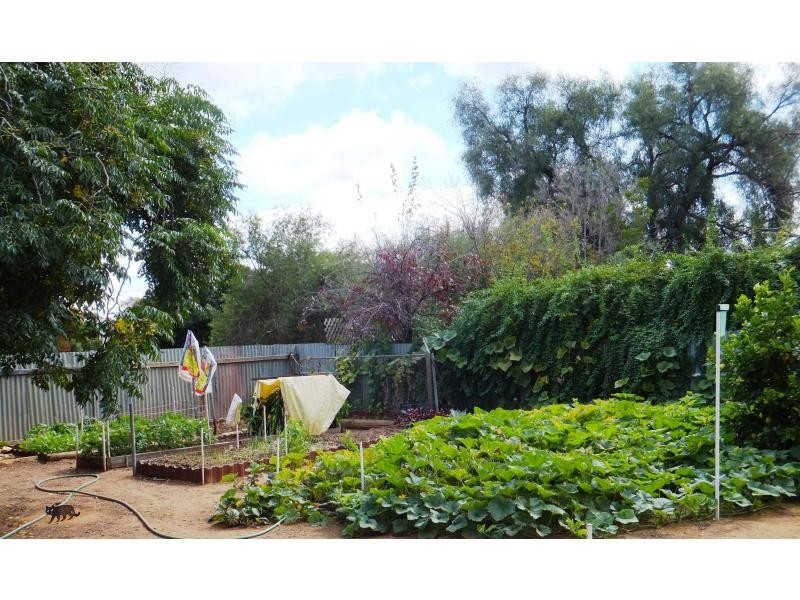 49-51 Jerilderie Street, Berrigan NSW 2712