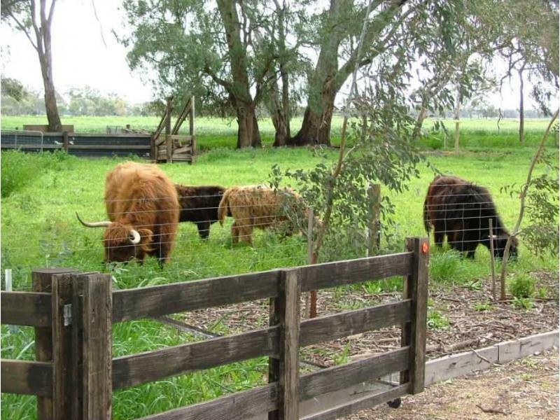 366 Ruttles Road, Strathmerton VIC 3641