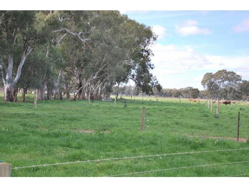 366 Ruttles Road, Strathmerton VIC 3641