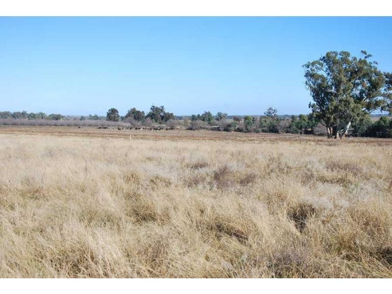 1086 Ennals Road, Barooga VIC 3644