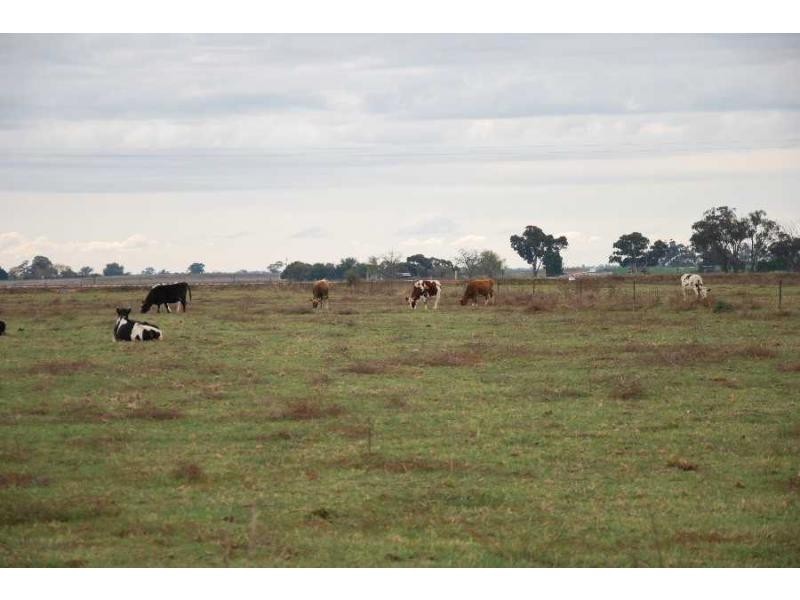 00 Tyacks Road, Yalca VIC 3637