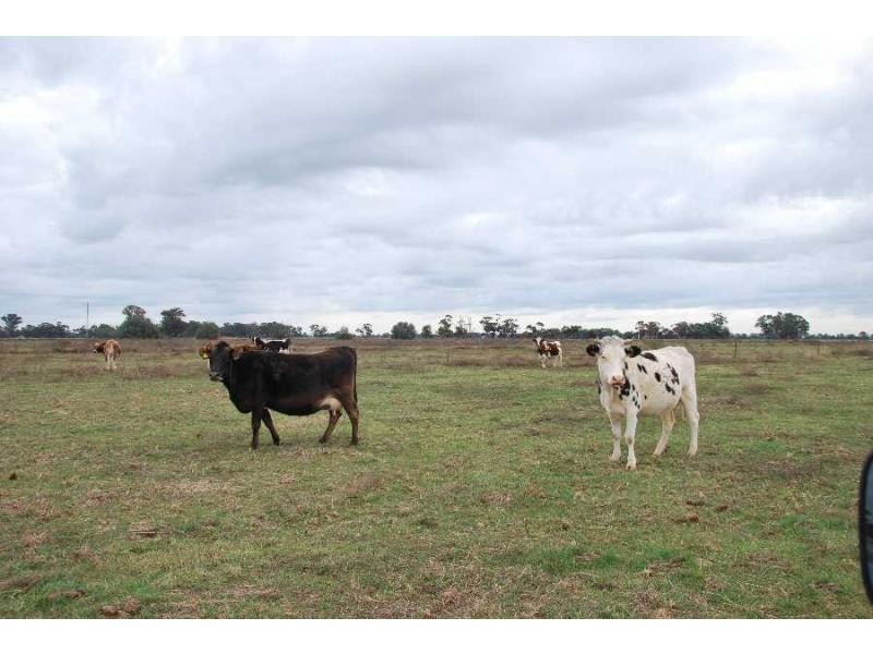 00 Tyacks Road, Yalca VIC 3637