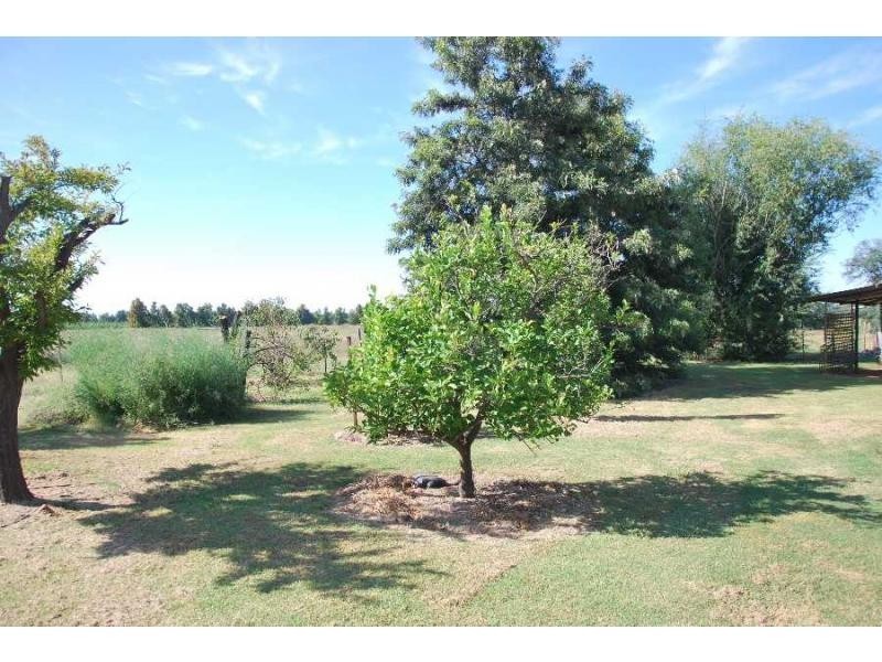 13 Langan Road, Cobram VIC 3644