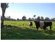 55 Dunkirk Road, Yarroweyah VIC 3644