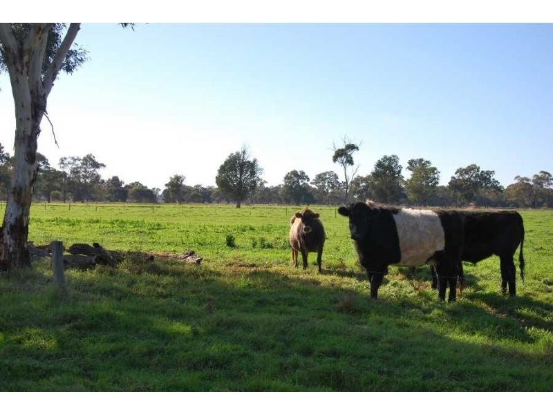 55 Dunkirk Road, Yarroweyah VIC 3644