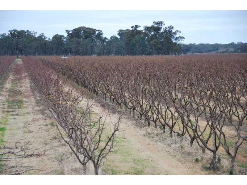 2990 Murray Valley Highway, Cobram East VIC 3644