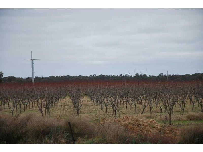 2990 Murray Valley Highway, Cobram East VIC 3644