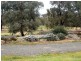 3 Greggerys Road, Berrigan NSW 2712
