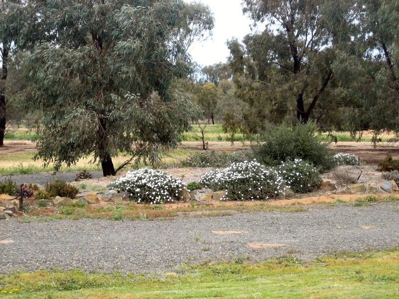 3 Greggerys Road, Berrigan NSW 2712