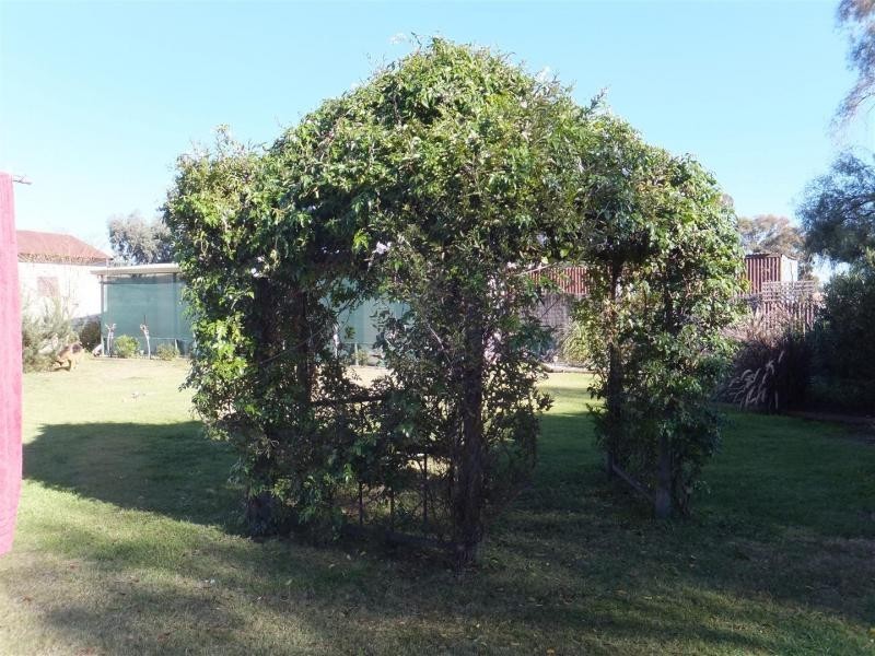 13-15 Drohan Street, Berrigan NSW 2712