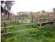 83 Woolshed Road, Berrigan NSW 2712