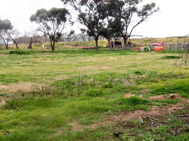 83 Woolshed Road, Berrigan NSW 2712