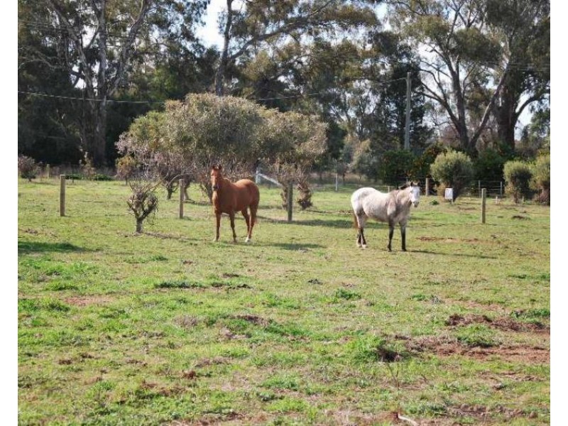 2849 Murray Valley Highway, Cobram East VIC 3644