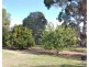 2849 Murray Valley Highway, Cobram East VIC 3644