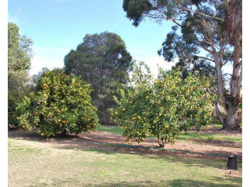 2849 Murray Valley Highway, Cobram East VIC 3644