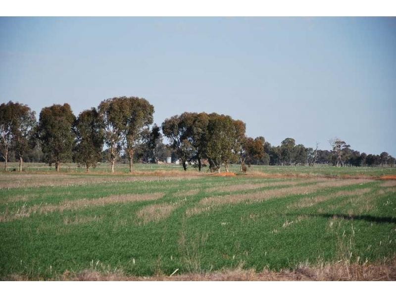 . Yourang Road, Boosey VIC 3730