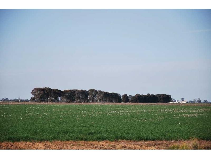 . Yourang Road, Boosey VIC 3730