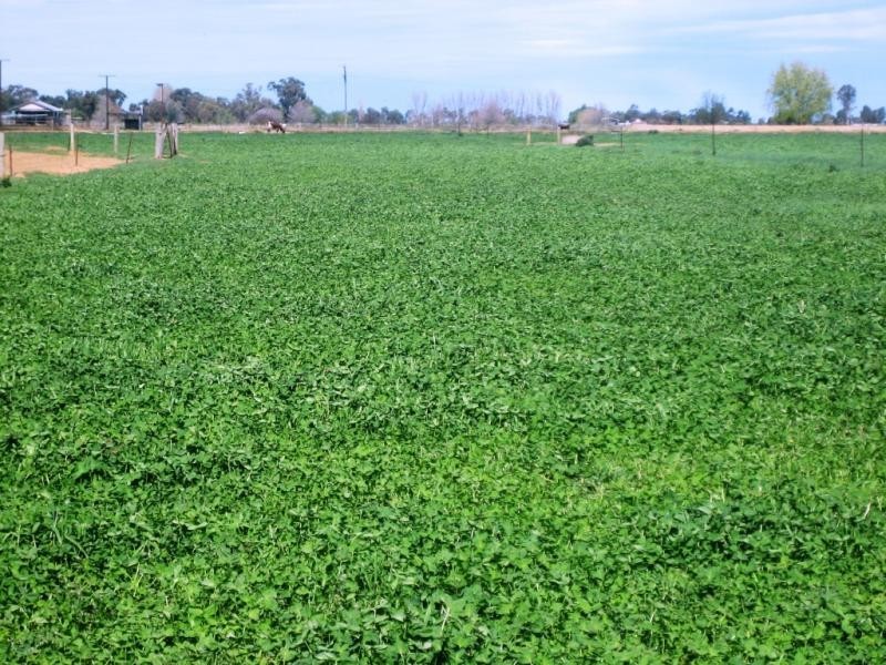 92 Churchill Road, Yarroweyah VIC 3644