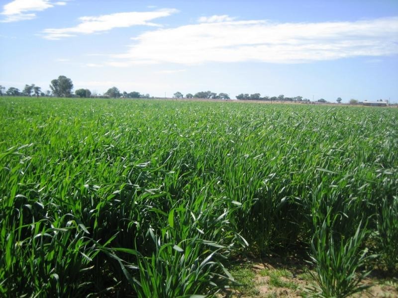 92 Churchill Road, Yarroweyah VIC 3644