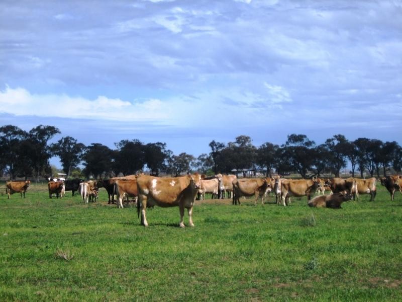 92 Churchill Road, Yarroweyah VIC 3644