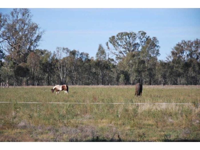 30 Reedys Road, Yarrawonga VIC 3730
