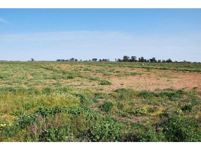 Cnr Larissa & Churchill Road, Yarroweyah VIC 3644