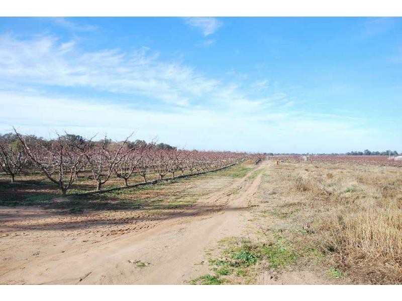 00 River Road, Cobram VIC 3644