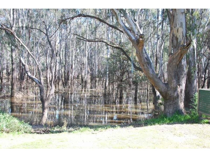 48 Barooga Road, Tocumwal NSW 2714