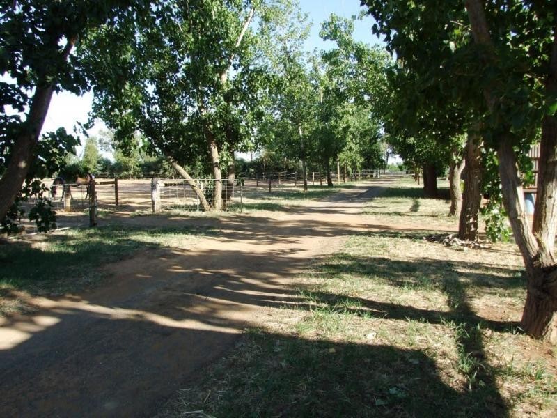 552 Healy Road, Cobram East VIC 3644