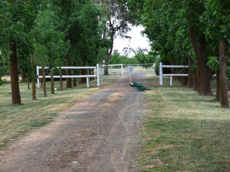 552 Healy Road, Cobram East VIC 3644