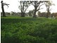 552 Healy Road, Cobram East VIC 3644
