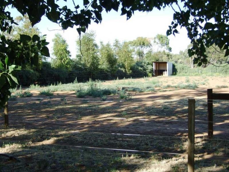 552 Healy Road, Cobram East VIC 3644