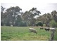 6989 Goulburn Valley Highway, Koonoomoo VIC 3644