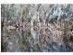 377 Thorpes Lane, Yielima VIC 3638
