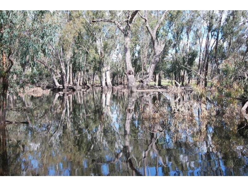 377 Thorpes Lane, Yielima VIC 3638