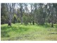 377 Thorpes Lane, Yielima VIC 3638