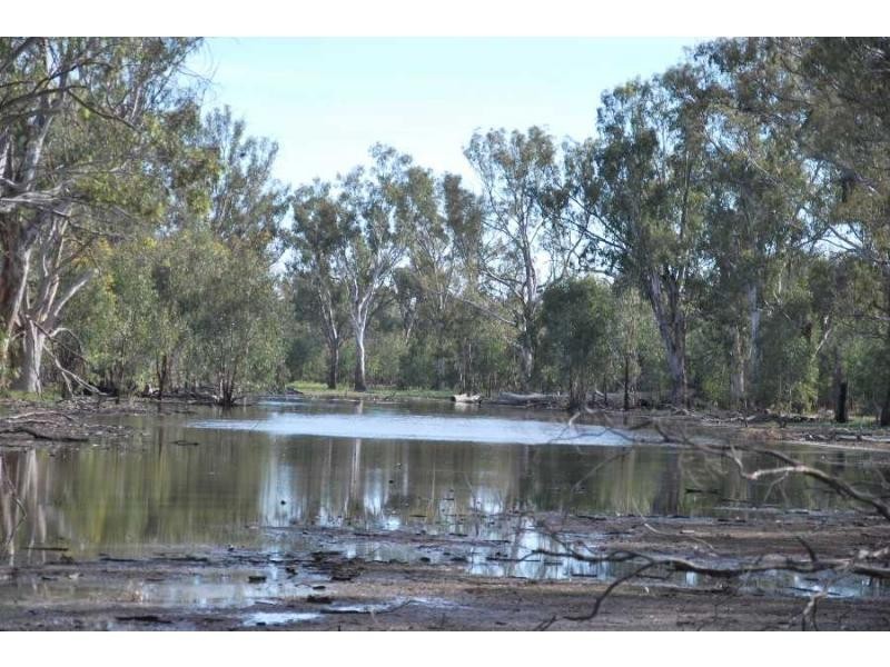 Lot 6 Woolshed Road, Tocumwal NSW 2714